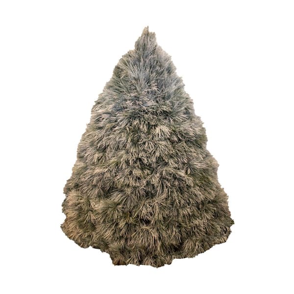 6 ft. to 7 ft. Freshly Cut Live SnowKissed Fraser Fir Christmas Tree