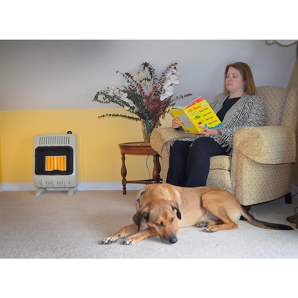 Mr. Heater Vent Free 10,000 BTU Radiant Natural Gas Space Heater MHVFRD10NG  - The Home Depot