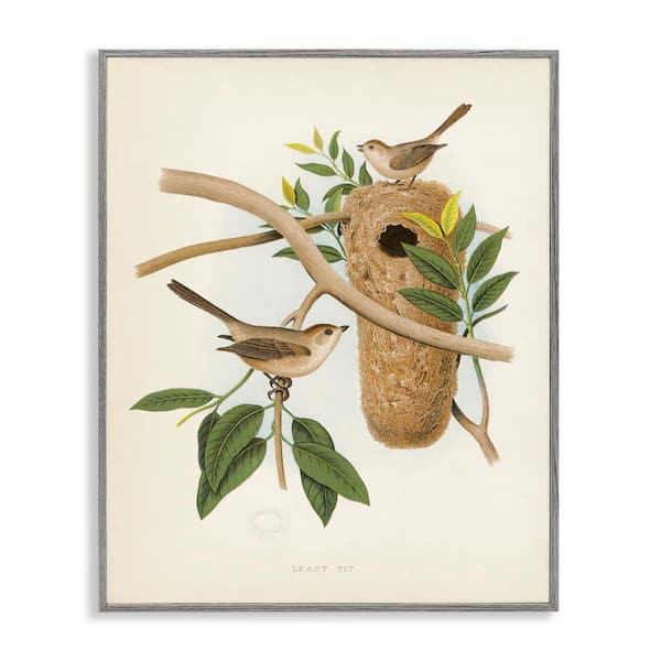 Stupell Industries Vintage Bird House Study by Tina Higgins Designs, Inc. Gray Framed Nature Giclee Art Print 14 in. x 11 in.