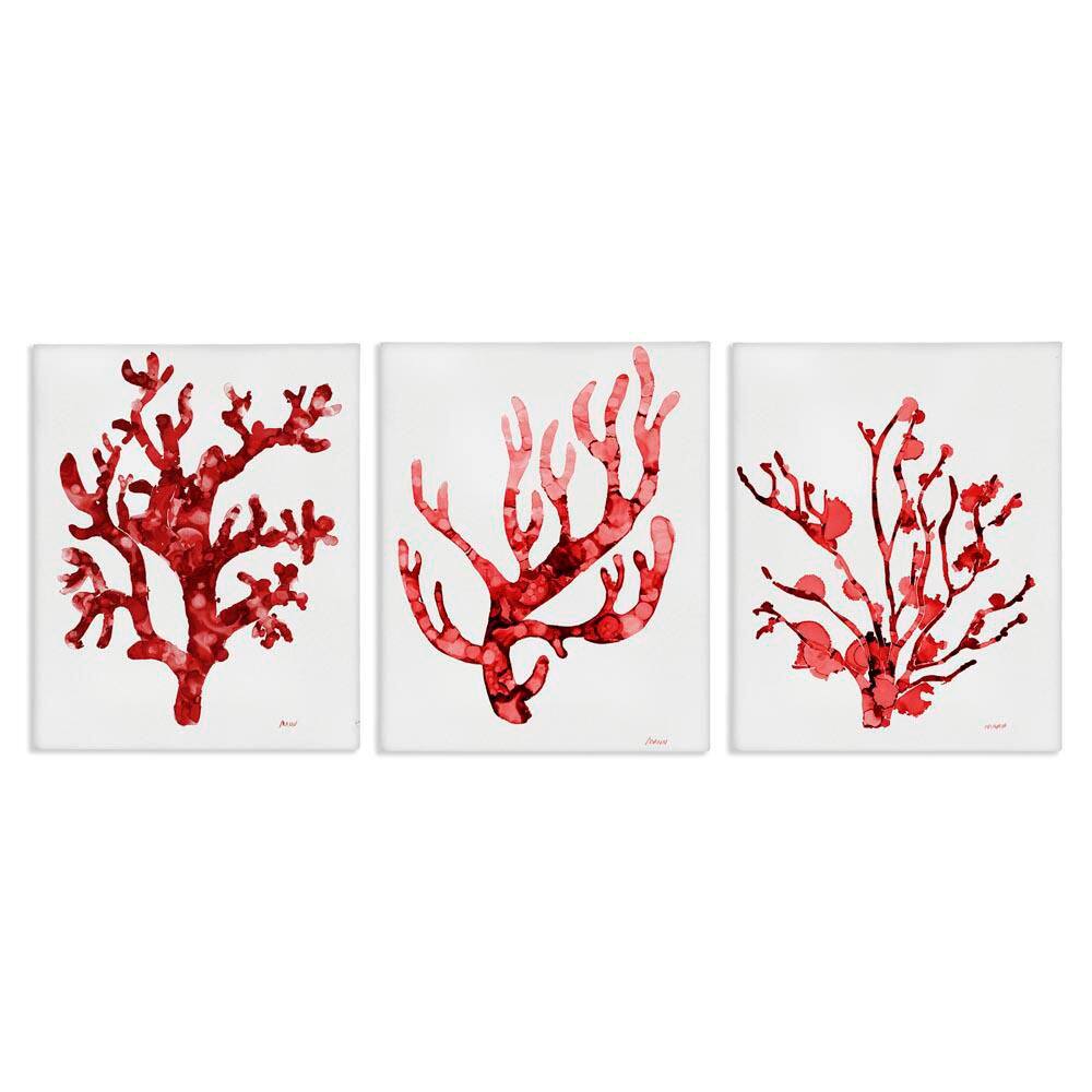 Bold Red Coral by Patti Mann 3 Pieces Unframed Coastal Graphic Art Print 14 in. x 11 in. price history on PriceWatchPro