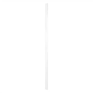 White Gloss Slab Style Kitchen Cabinet Filler (3 in W x 0.75 in D x 96 in H)