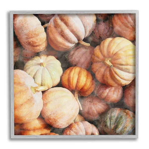 Stupell Industries Fall Pumpkins and Gourds by LSR Design Studio 1-Piece Framed Graphic Print Country Poster Art Print 17 in. x 17 in.