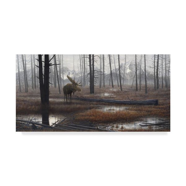Trademark Fine Art When God Dreams by John Morrow 16 in. x 32 in.