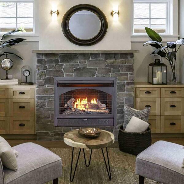 Natural Gas Indoor Fireplace Insert, Procom Propane Vent Free Fireplace