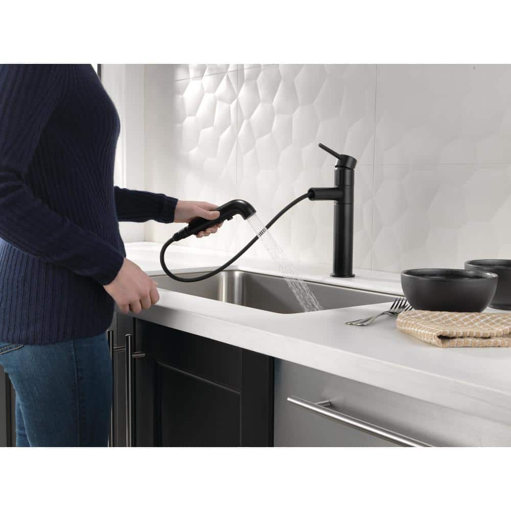 Matte Black Stainless Steel Pull-Out Spray Kitchen Faucet