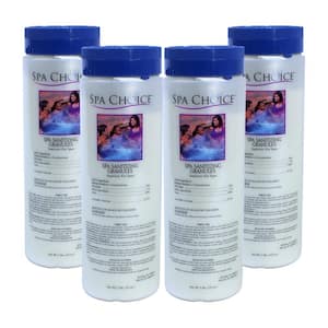 Spa and Hot Tub 2 lb. Sanitizing Granules (4-Pack)