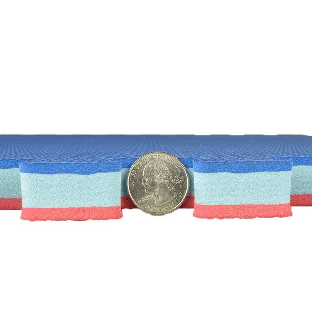 Red and Blue Reversible Interlocking Foam Mat 24x24 Inch