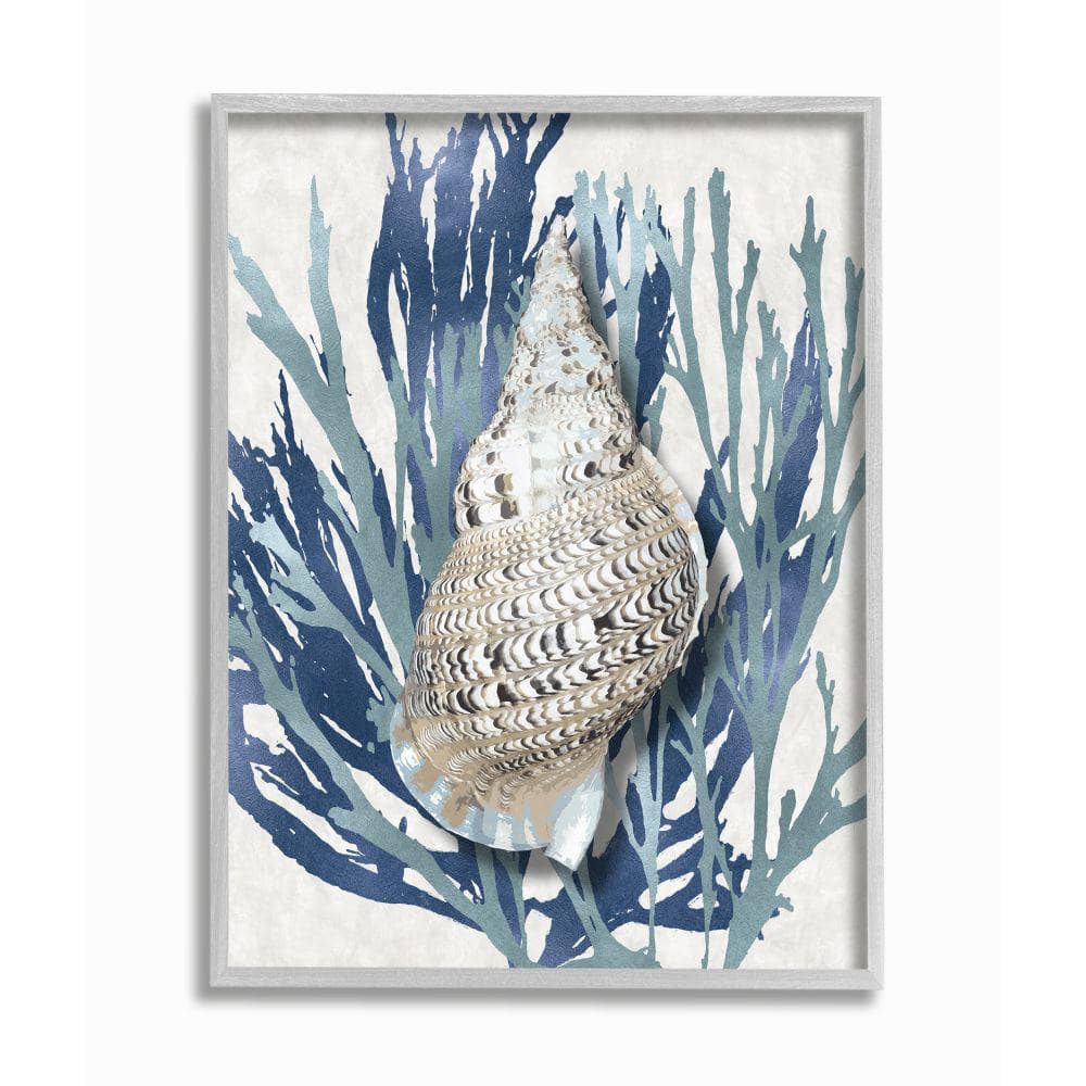 Stupell Industries Shell Coral Blue Beach Design by Caroline Kelly Framed Nature Wall Art Print 11 in. x 14 in.