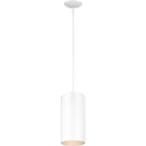 Small 1-Light White Aluminum Outdoor Cylinder Hanging Pendant