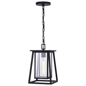 Blackwell Cage Frame 1-Light Black Outdoor Pendant Lantern Clear Glass