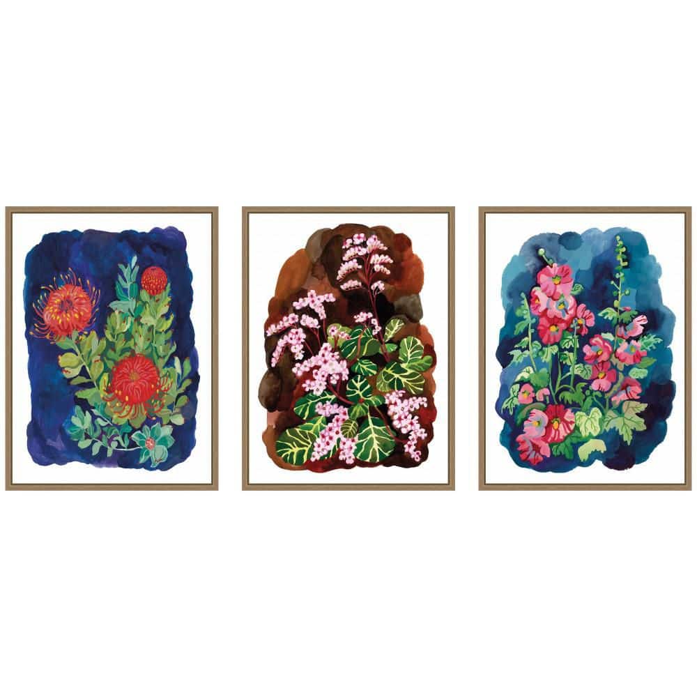 "3 Piece Sylvie ""Proteas in Blue & Hollyhock"" by Lucia Gianello Flowers Framed Art Print Set 24 in. x 18 in." price history on PriceWatchPro