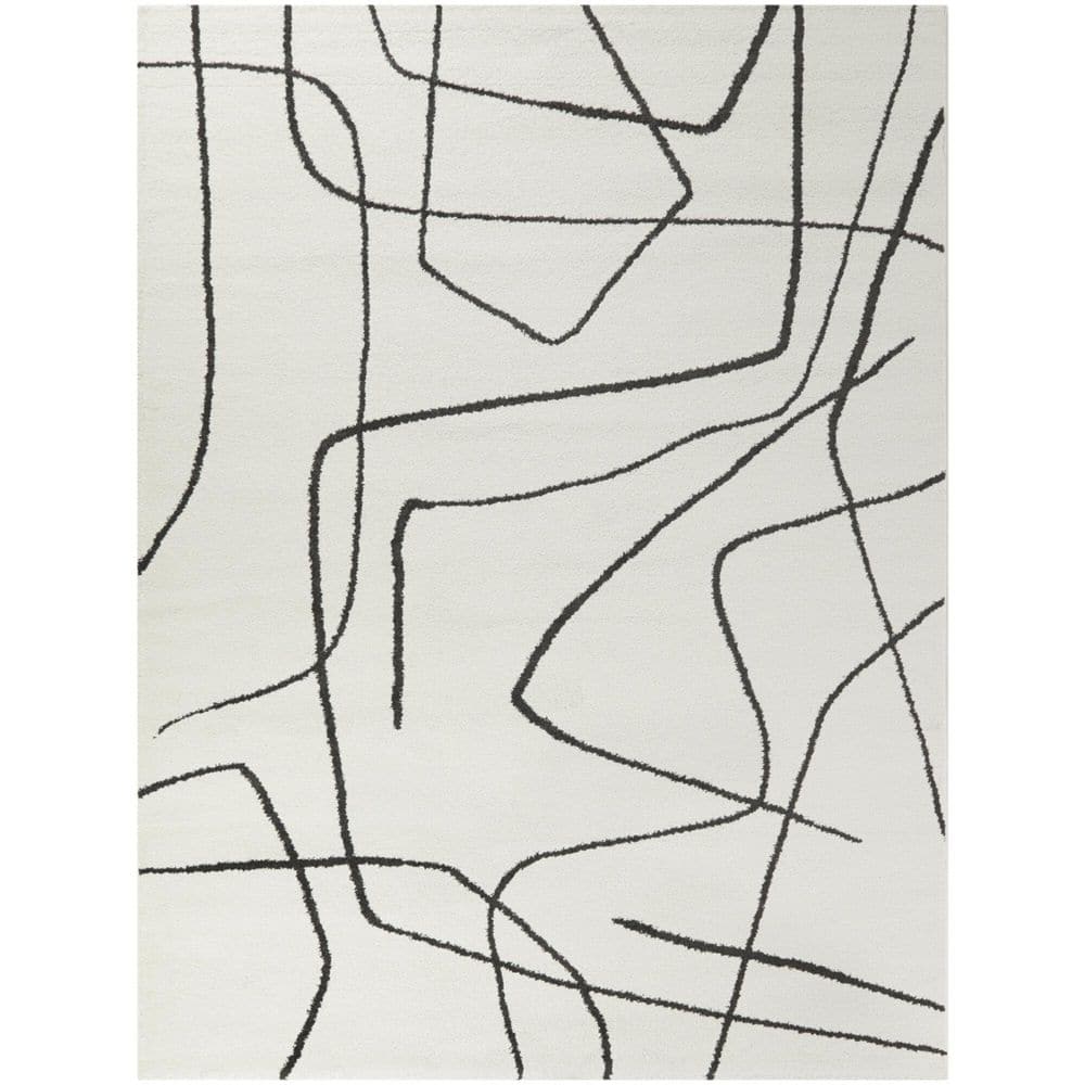 Descartes Abstract Modern Area Rug Charcoal 4 4  x 6  4  x 6  Ivory