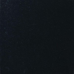 Absolute Black 18 in. x 18 in. Polished Granite Floor and Wall Tile (9 sq. ft. / case)