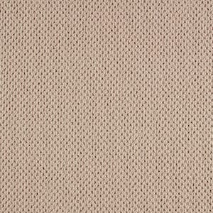 Cliffmont  - Downy Lustre - Beige 39 oz. Triexta Pattern Installed Carpet
