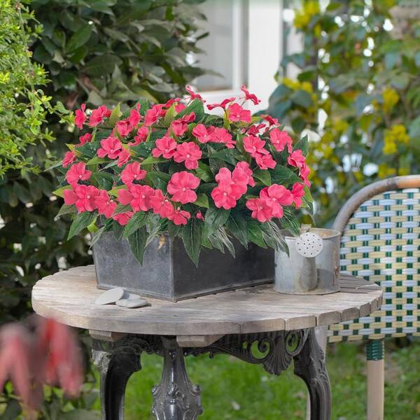 【plants market N】ブラック、レッドジェム　高さ120㎝前後 Artificial Impatiens Bouquet Flowers, 2 Bundles (Rose Red