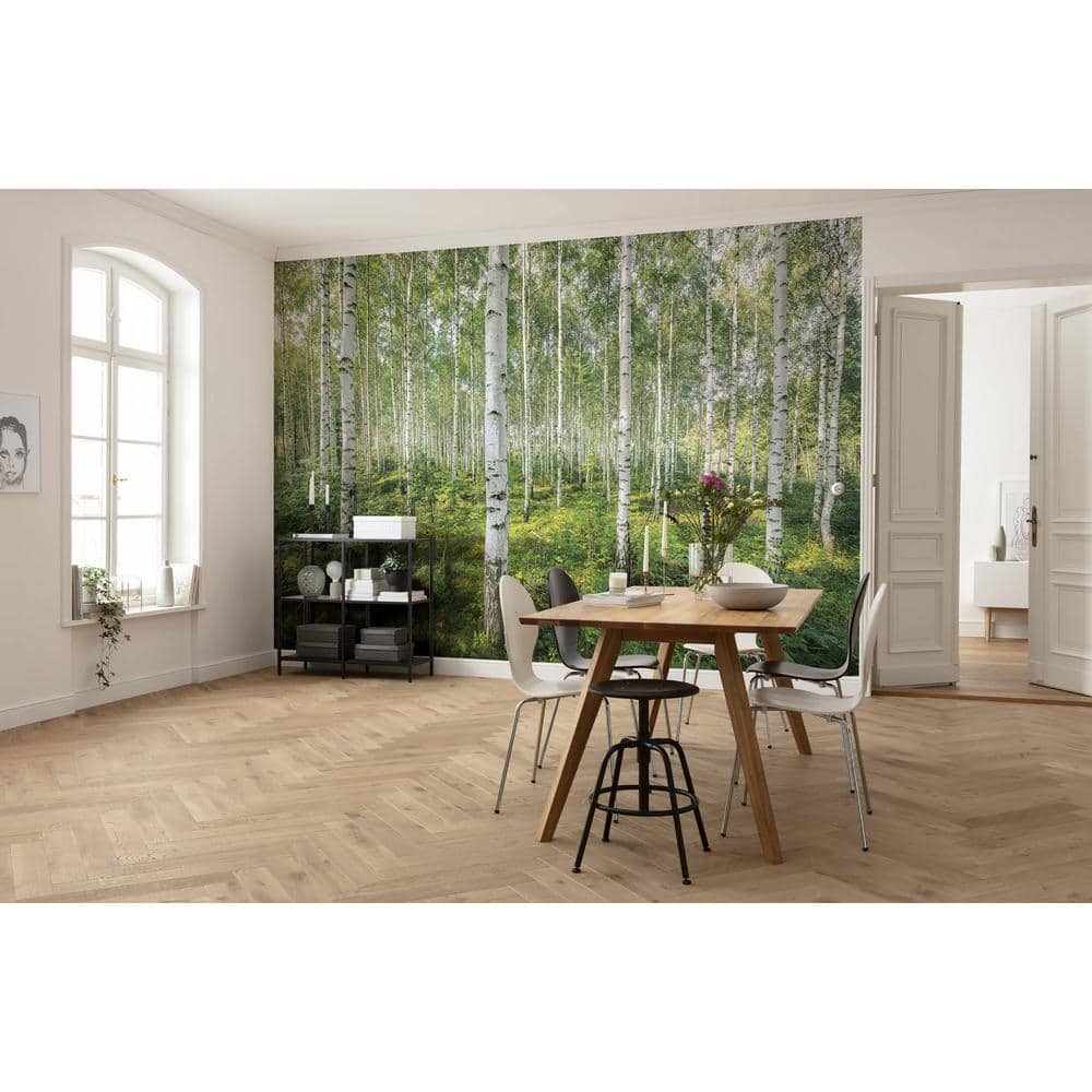 Sunny Day Birch Forest Nature Wall Mural, 99.6" x 144"