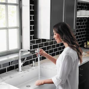 Locarno Single-Handle Pull Down Sprayer Kitchen Faucet with QuickClean in Chrome