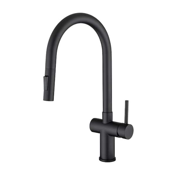 RAINLEX Single Handle Pull-Down Sprayer Kitchen Faucet in Matte Black