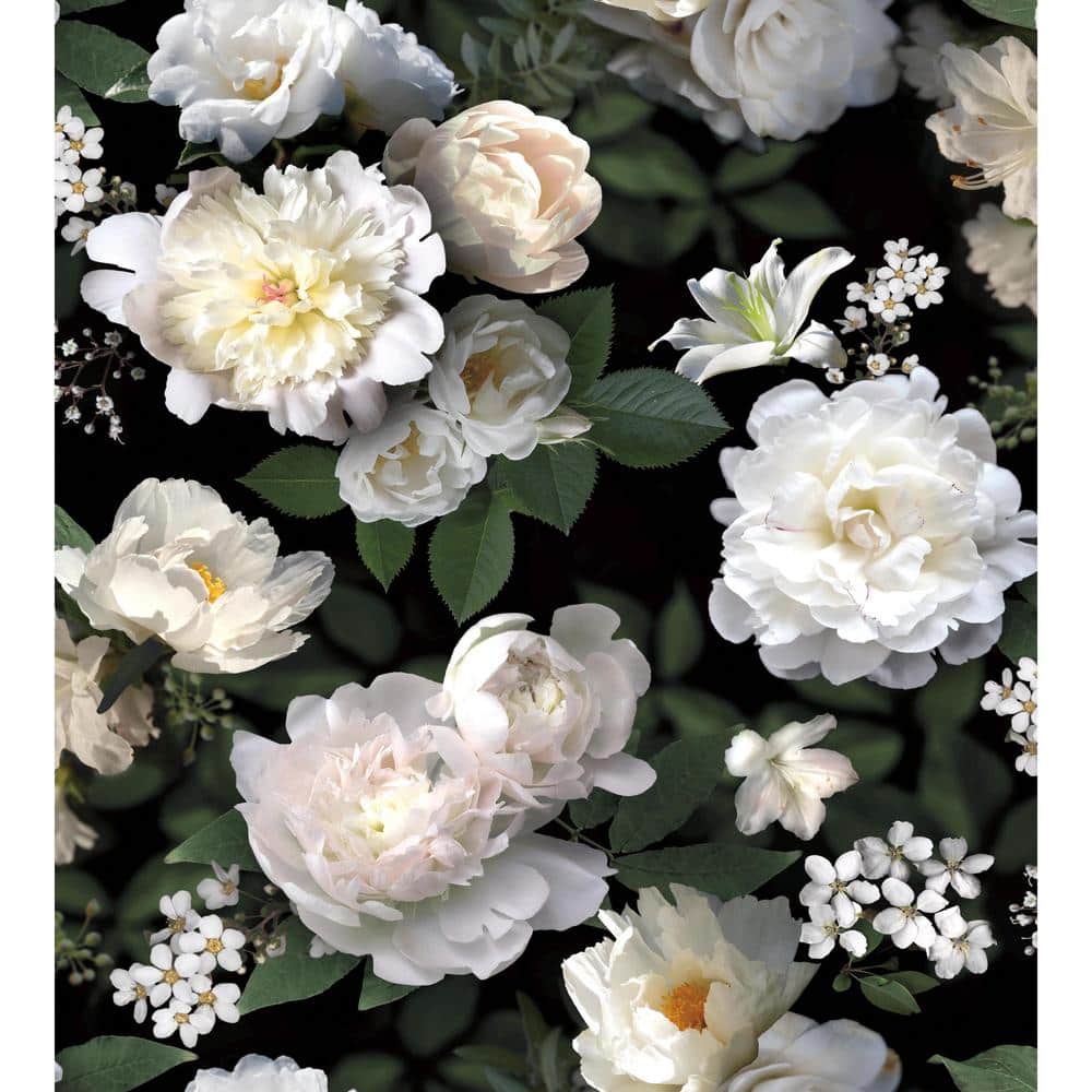 York Wallcoverings Black Photographic Floral Vinyl Peel & Stick