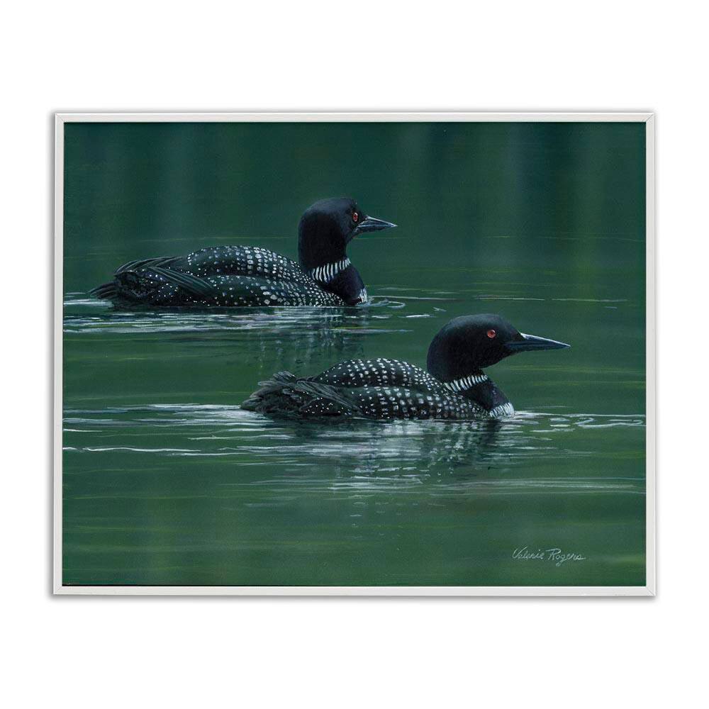 Peaceful Loon Duo by Valerie Rogers White Framed Animal Giclee Art Print 24 in. x 30 in. price history on PriceWatchPro