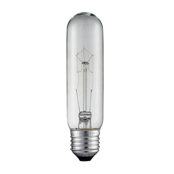 Titan Lighting Ogden Collection 60-Watt Incandescent T6 Medium Filament Light Bulb - Vintage Style Light Bulb