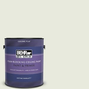 1 gal. #GR-W07 Angel Feather Ceiling Flat Interior Paint with Primer