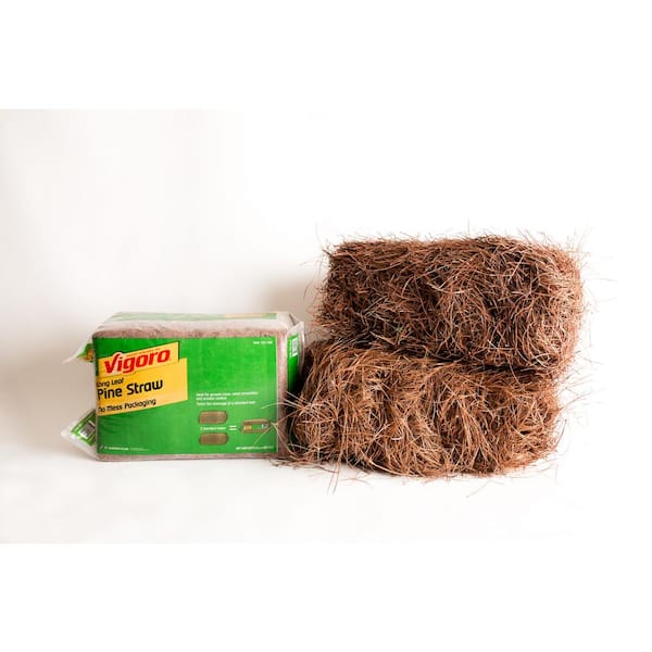 Vigoro - 3,500 sq. ft. Bagged Long Leaf Pine Needle Mulch Pallet, 35-Count (100 sq. ft./unit)