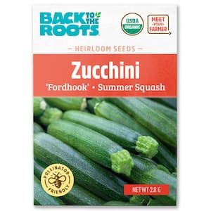 Back to the Roots Organic Summer Cocozelle Zucchini Squash Seed (1