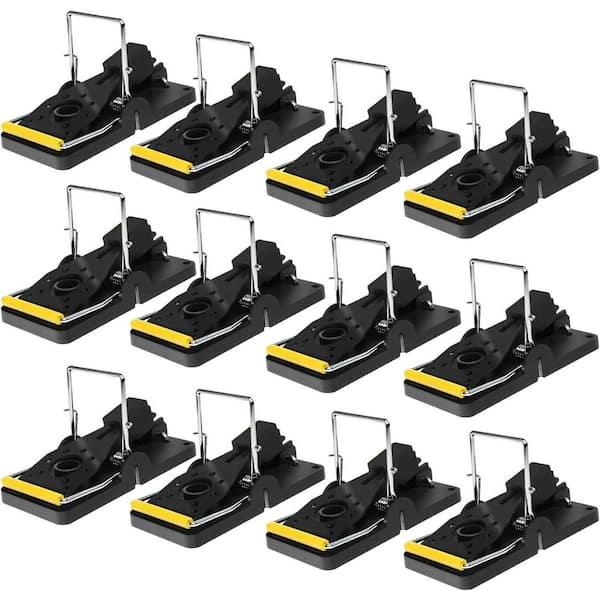Indoor/Outdoor Mouse Insect Traps Safe for Family and Pet in Black (12-Packs)