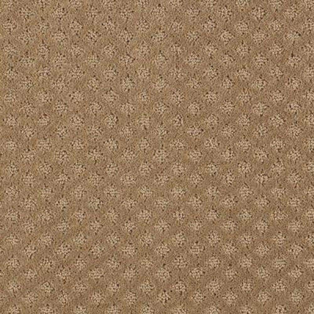8 in. x 8 in. Pattern Carpet Sample - Lilypad -Color Worn Leather price history on PriceWatchPro