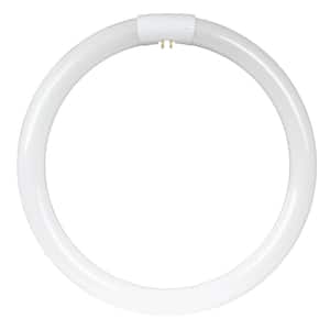40-Watt 16 in. T9 G10q Linear Circline Fluorescent Tube Light Bulb, Cool White 4100K (1-Bulb)
