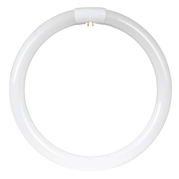 Feit Electric 40-Watt 16 in. T9 G10q Linear Circline Fluorescent Tube Light Bulb, Cool White 4100K (1-Bulb)