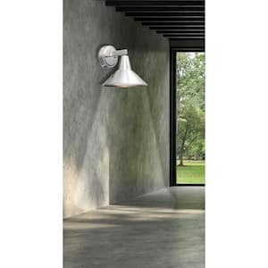 Baycrest 1-Light Brushed Aluminum Outdoor Wall Lantern Sconce