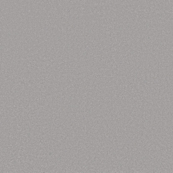 Park Royal II Rhino Gray 52 oz. Nylon Texture Carpet - Installation Required