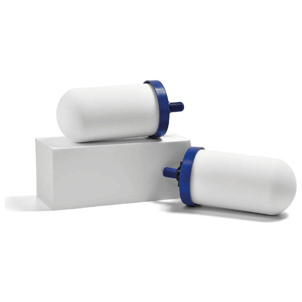MaxClear 7 in. Filter (2-Pack) price history on PriceWatchPro
