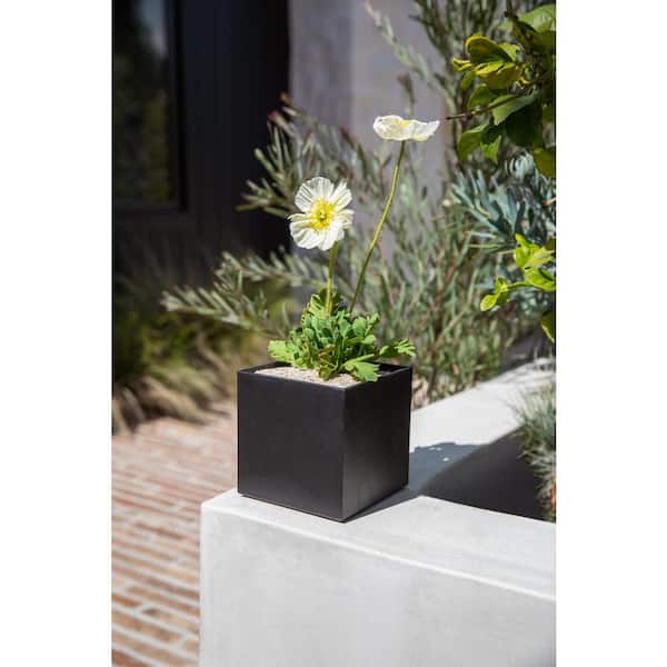 Geo Cube 5 in. Black Plastic Planter