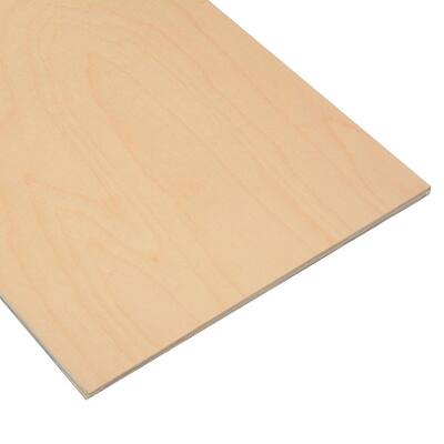 1/4 in. x 1 ft. x 2 ft. Birch Project Panel (4-Pack)