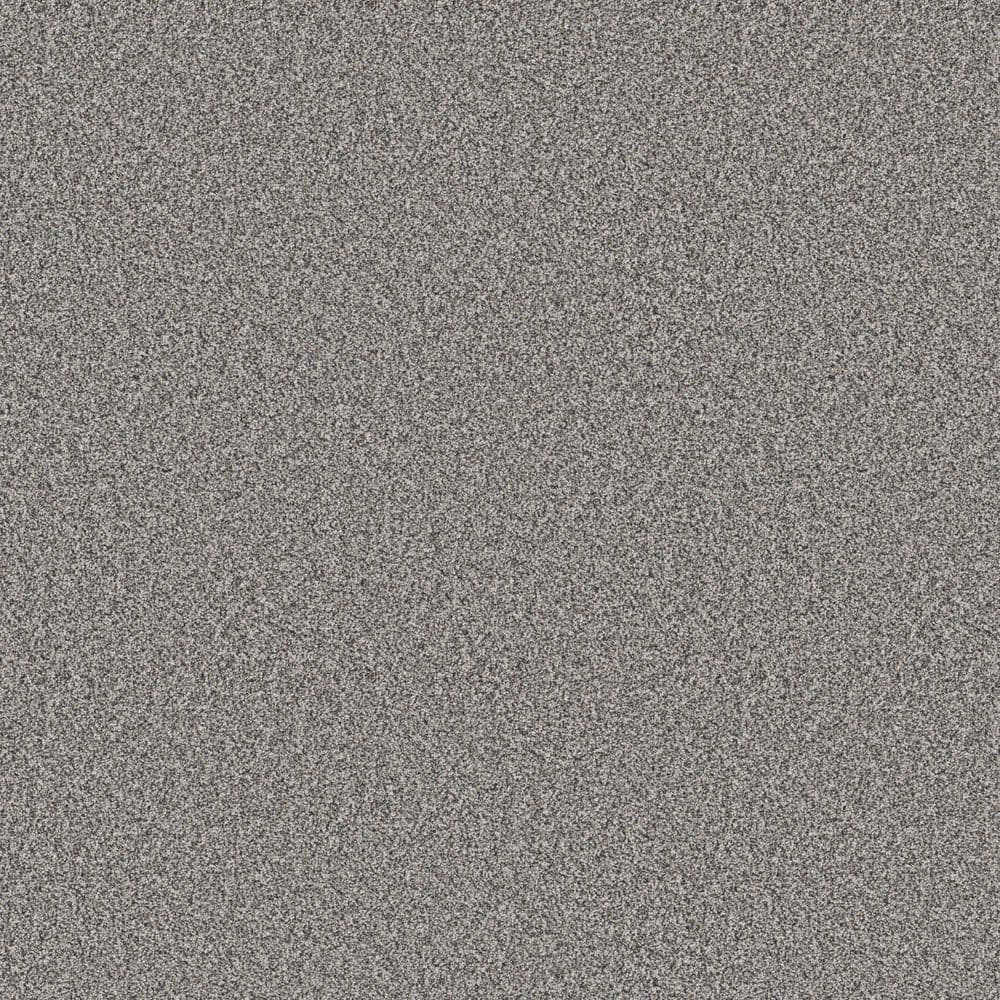 8 in. x 8 in. Texture Carpet Sample - Cuddle Cakes III - Color Boulder price history on PriceWatchPro