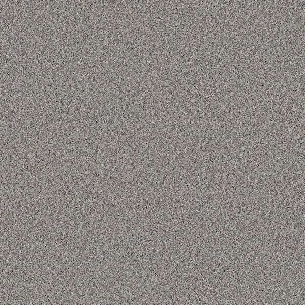 8 in. x 8 in. Texture Carpet Sample - Cuddle Cakes III - Color Boulder