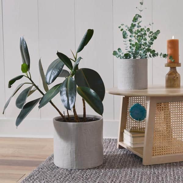 Earthy Embossed Grey Stoneware Planter Set