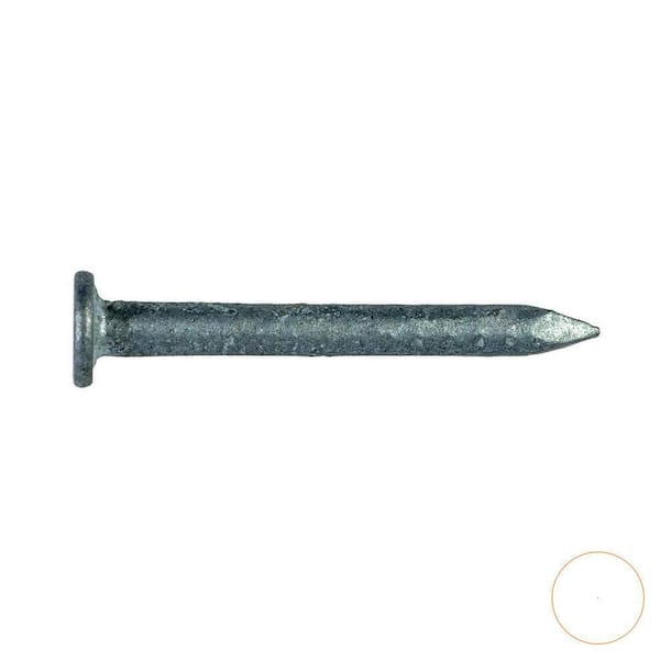 Strong-Drive 1-1/2 in. x 0.148 in. SCN Connector Nail, HDG Smooth-Shank (240-Pack)