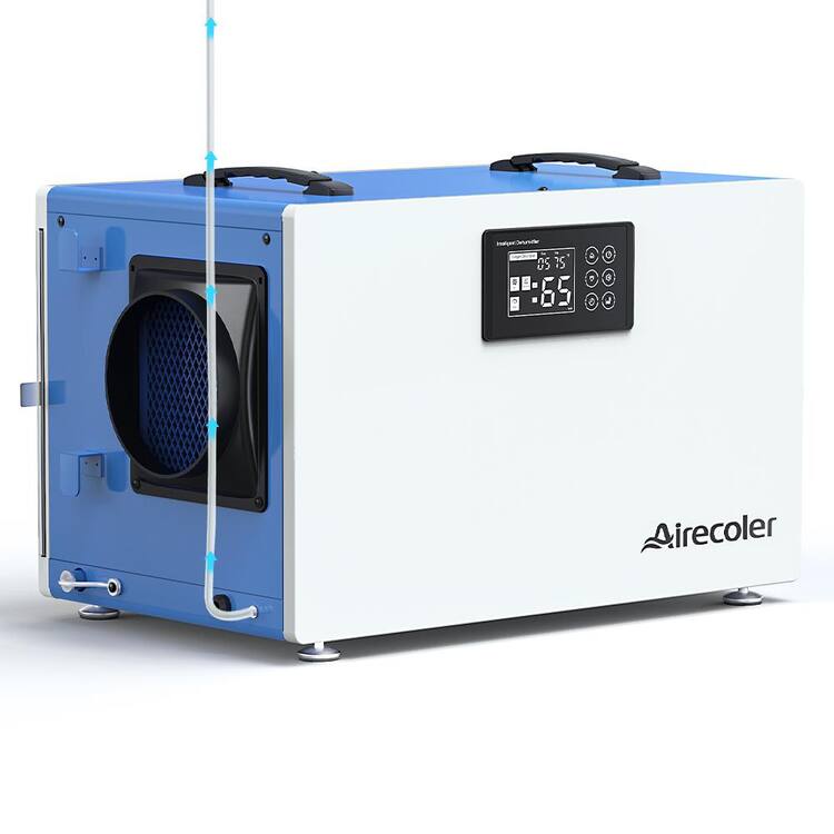 Airecoler 170 pt. 7,500 sq. ft. Bucketless Commercial Dehumidifier with Pump and Drain Hose for Crawl Space Large Basement in Blue