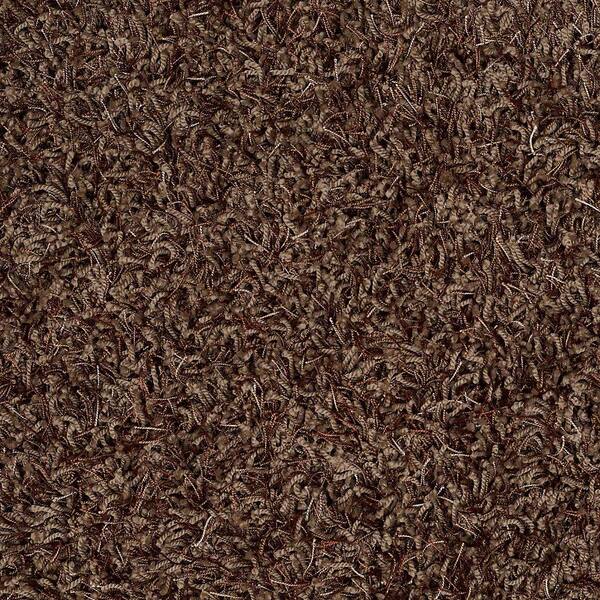 Platinum Plus Carpet Sample - Royal Step - In Color Cocoa Burst 8 in. x 8 in.