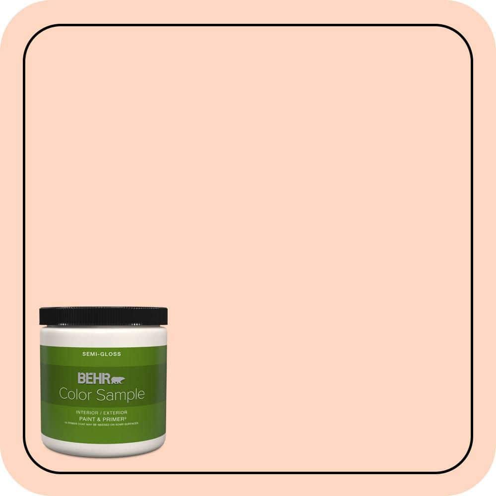 8 oz. #220A-2 Friendship Semi-Gloss Interior/Exterior Paint & Primer Color Sample price history on PriceWatchPro