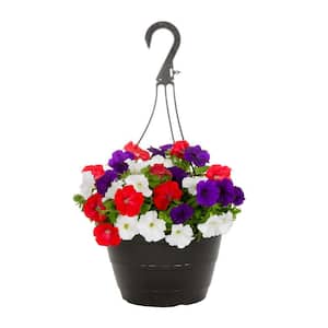 1.25 Gal. Red, White, Blue Patriot Petunia Swirl Hanging Basket Annual Plant (1-Pack)