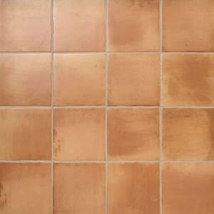 Ivy Hill Tile Sienna Terracotta Sand 8.85 in. x 8.85 in. Matte
