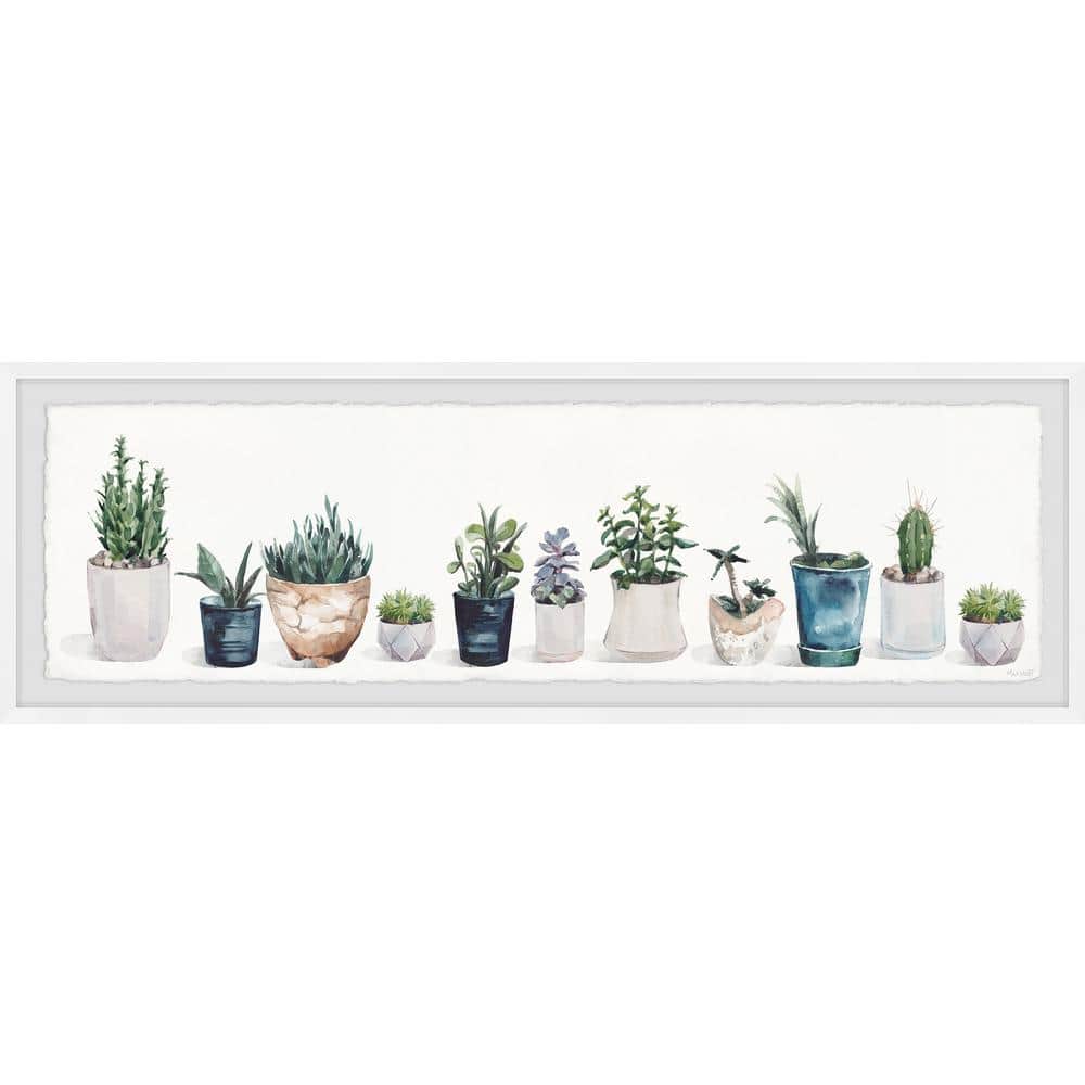 Succulents and Sunshine by Parvez Taj Framed Nature Art Print 10 in. x 30 i