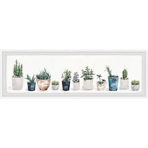 "Succulents and Sunshine" by Parvez Taj Framed Nature Art Print 10 in. x 30 in.