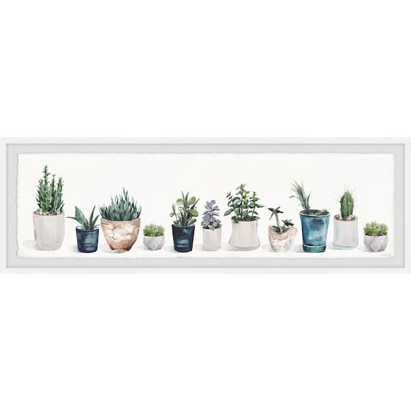Unbranded "Succulents and Sunshine" by Parvez Taj Framed Nature Art Print 10 in. x 30 in.