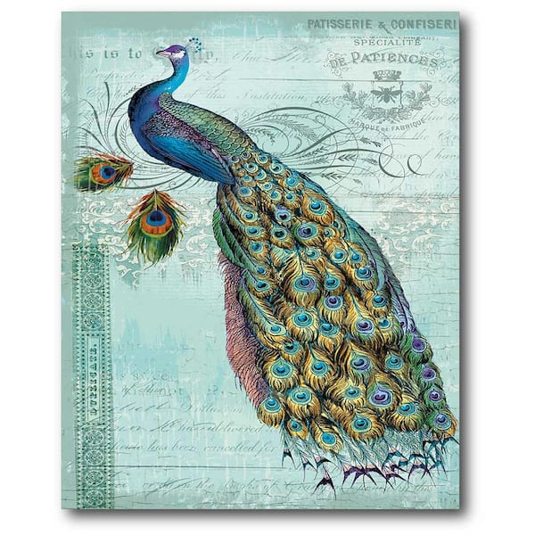 Square Animal Photo Canvas Small Wall Art Picture Prints Blue Peacock Feathers 